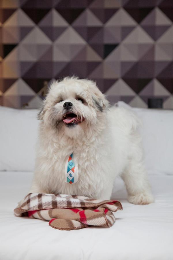 Standard Twin Room,1244733073:JPEG