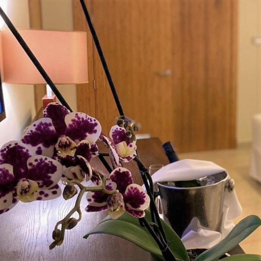 Allure Junior Suite King