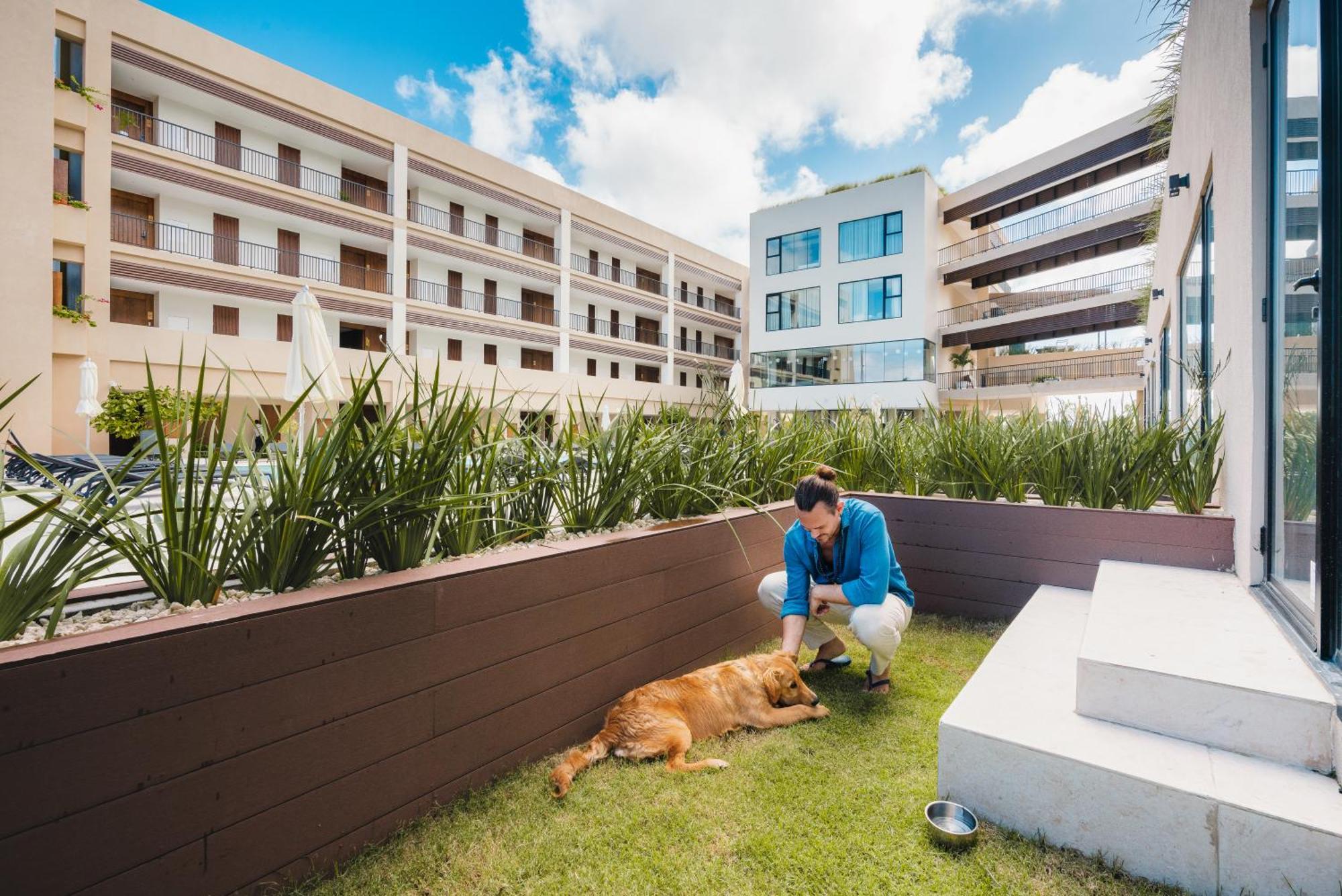Suíte com Terraço