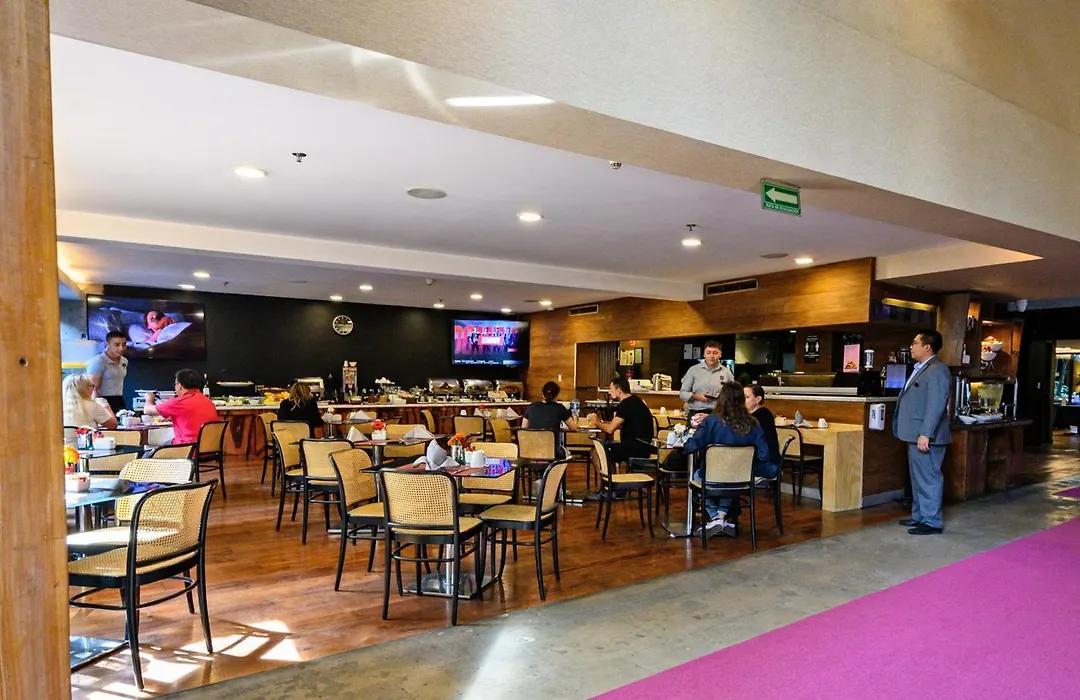 Las Suites Campos Eliseos-1