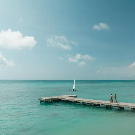 Hyatt Zilara Cap Cana - Adults Only-2