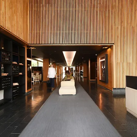 Solace Hotel Santiago-3
