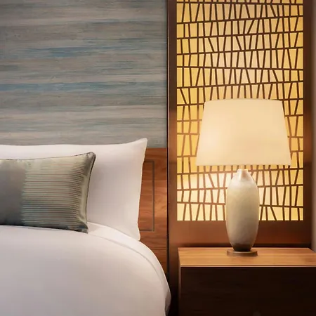 The Ritz-Carlton, Santiago-3