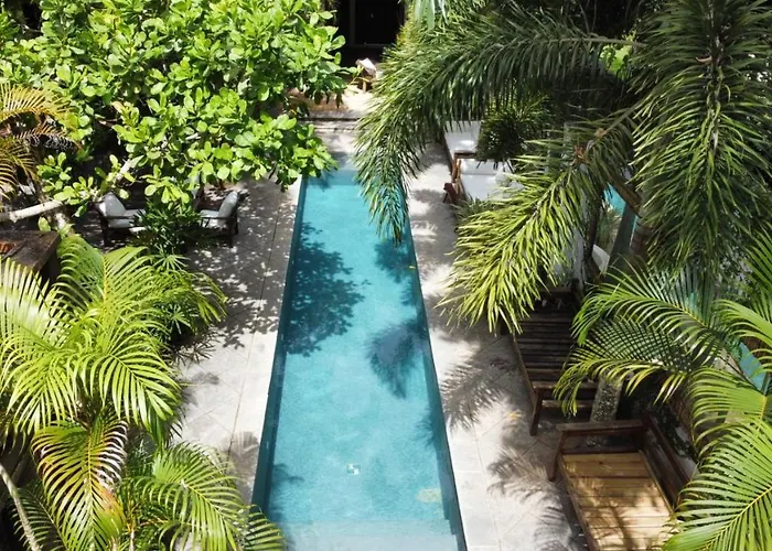 Monkey Casa Hotel Trancoso