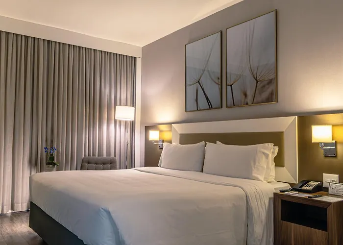 Holiday Inn Belo Horizonte Savassi By Ihg